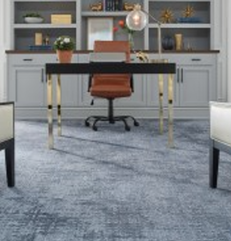 Dixie Group Commercial image 1