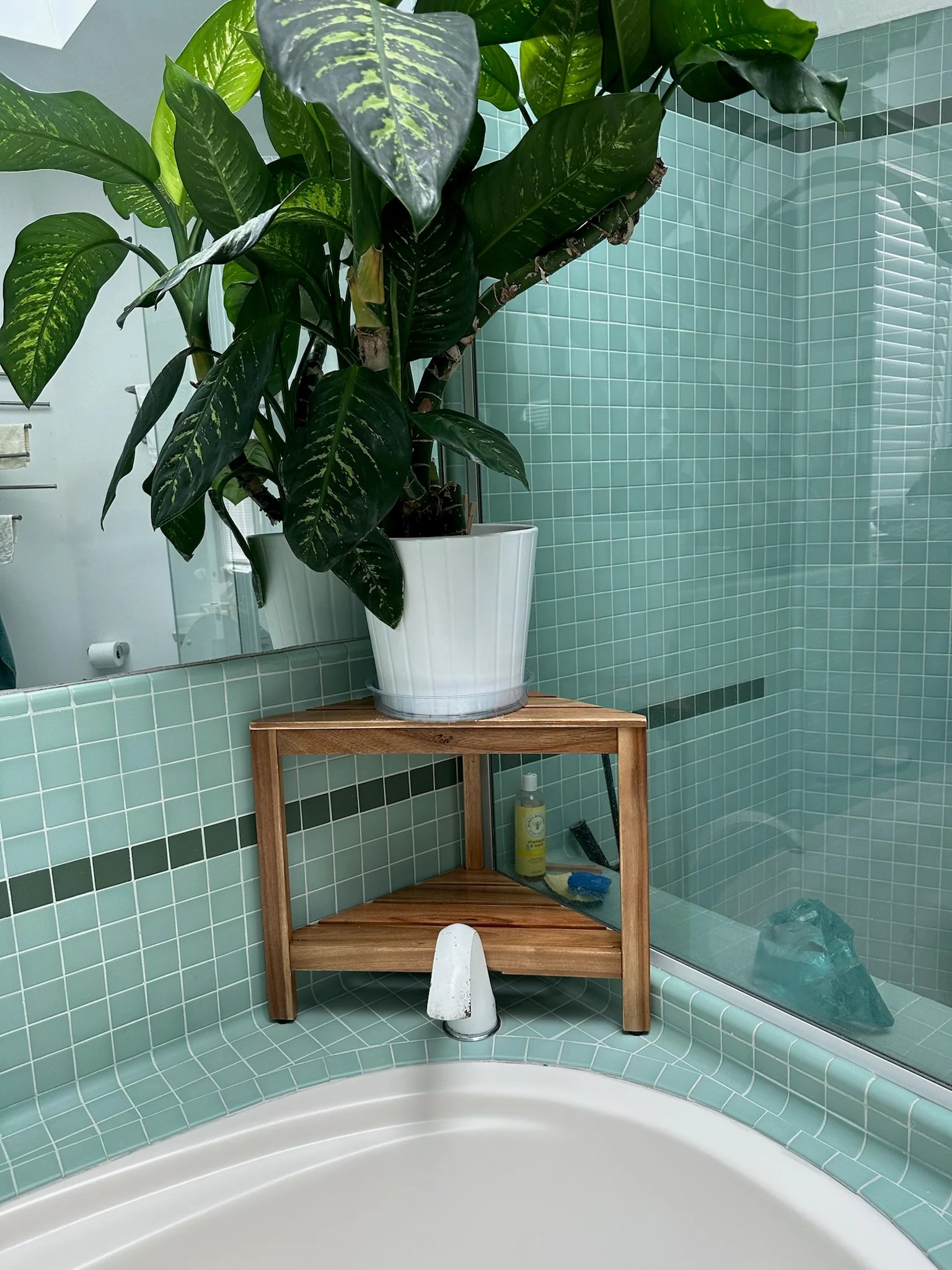 Deco Teak image 2