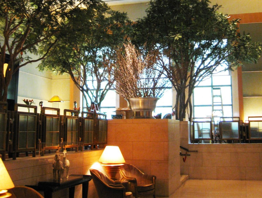 Plant Scape image 2