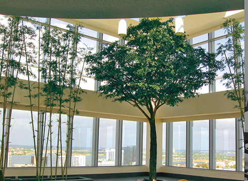 Plant Scape image 8
