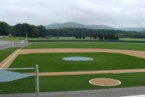 Synthetic Turf International Chicago image 9