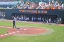 Synthetic Turf International Chicago image 5