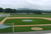 Synthetic Turf International Chicago image 4