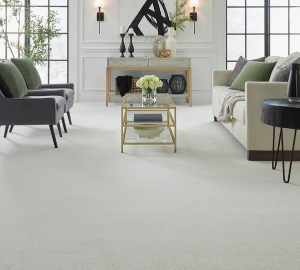 Dixie Group Commercial image 10