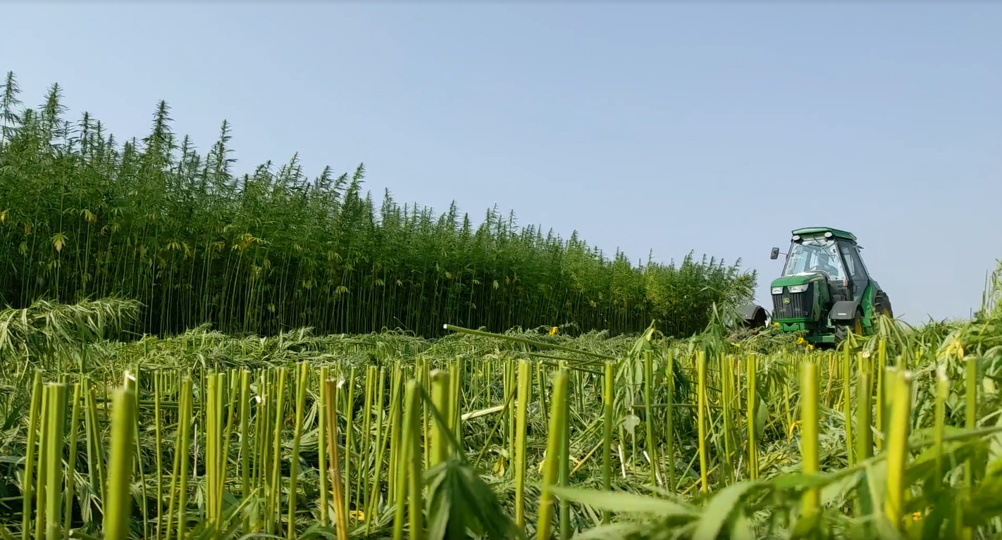 Carbon Capturing
