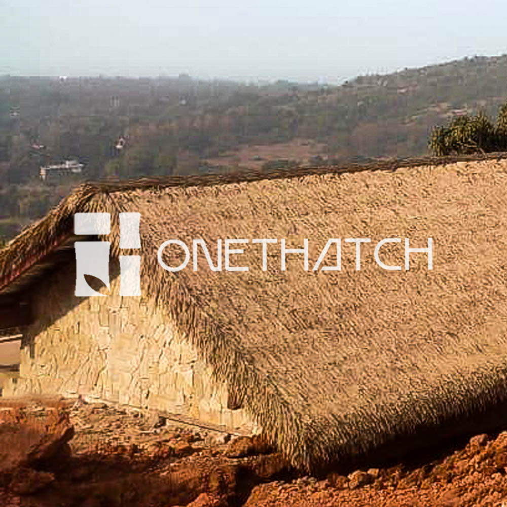 One Thatch image 1