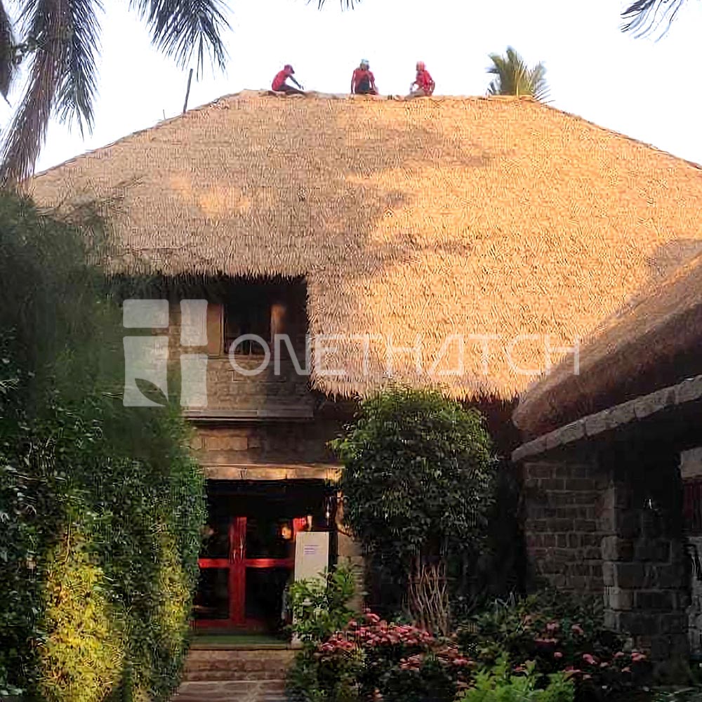 One Thatch image 8