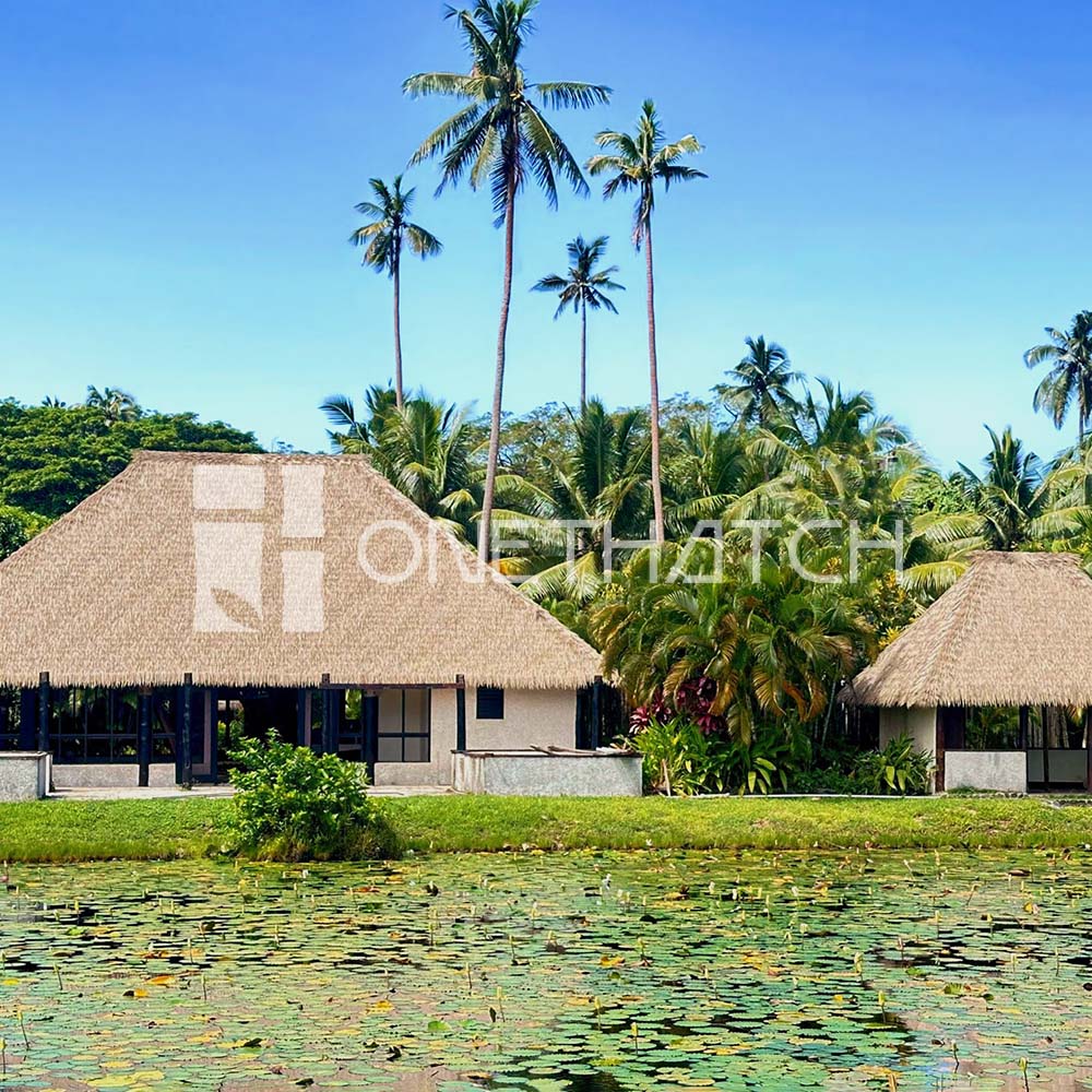 One Thatch image 9