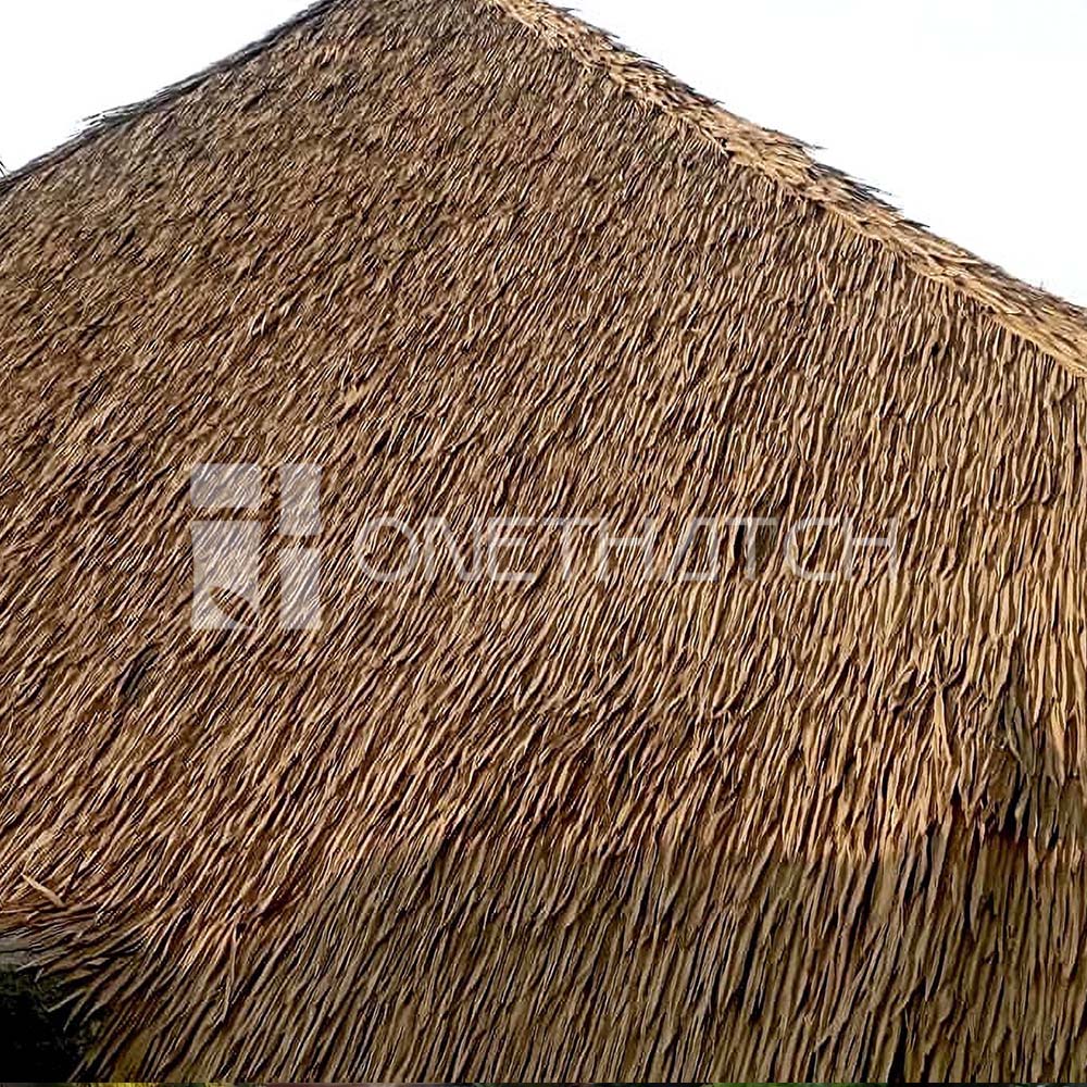 One Thatch image 3