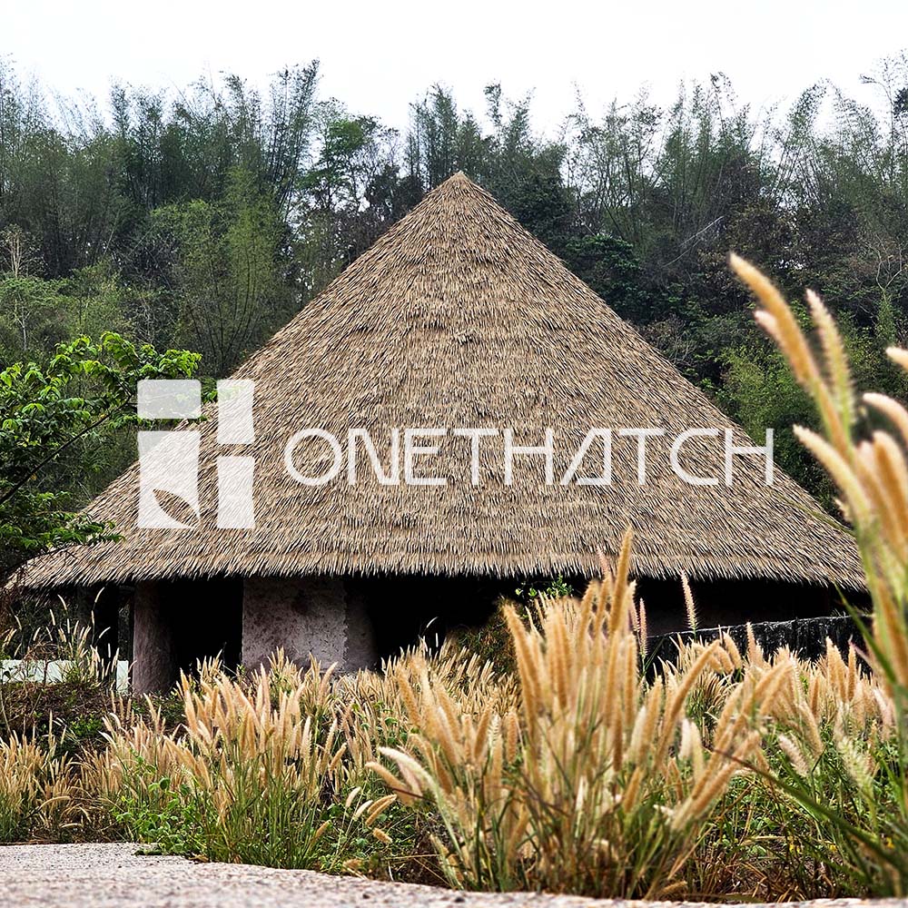 One Thatch image 7