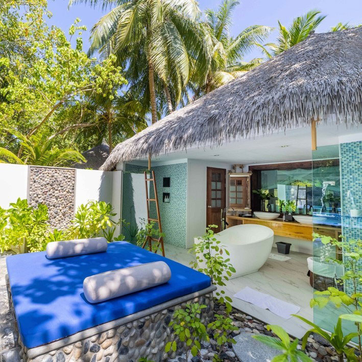 Palmex image 1