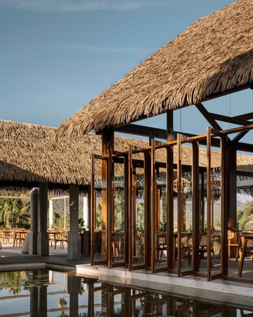 Palmex image 7