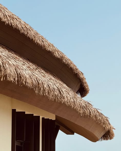 Palmex image 8