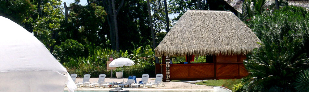 Palmex image 9