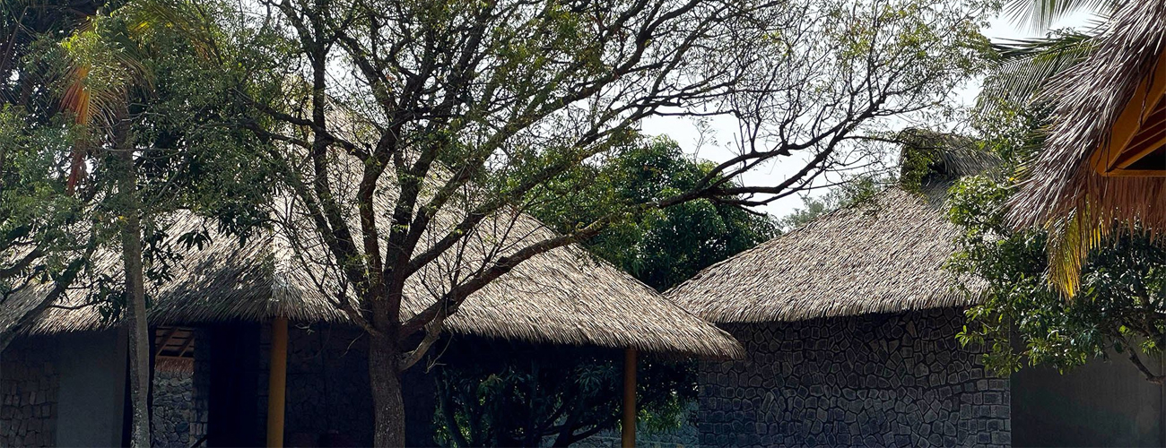 One Thatch
