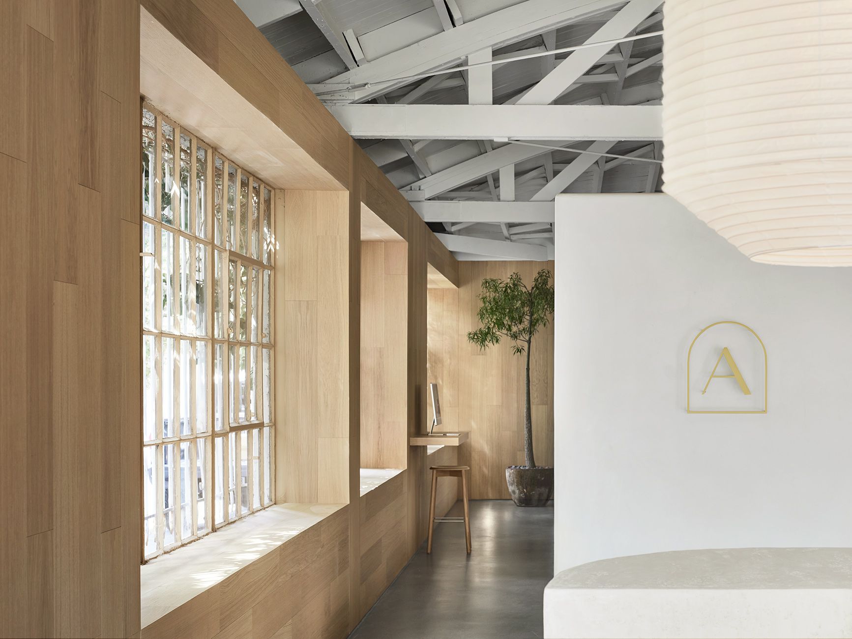 Armadillo & Co image 5
