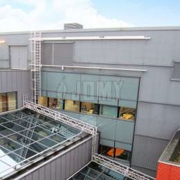 Jomy image 7