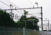 ZRC Worldwide image 4
