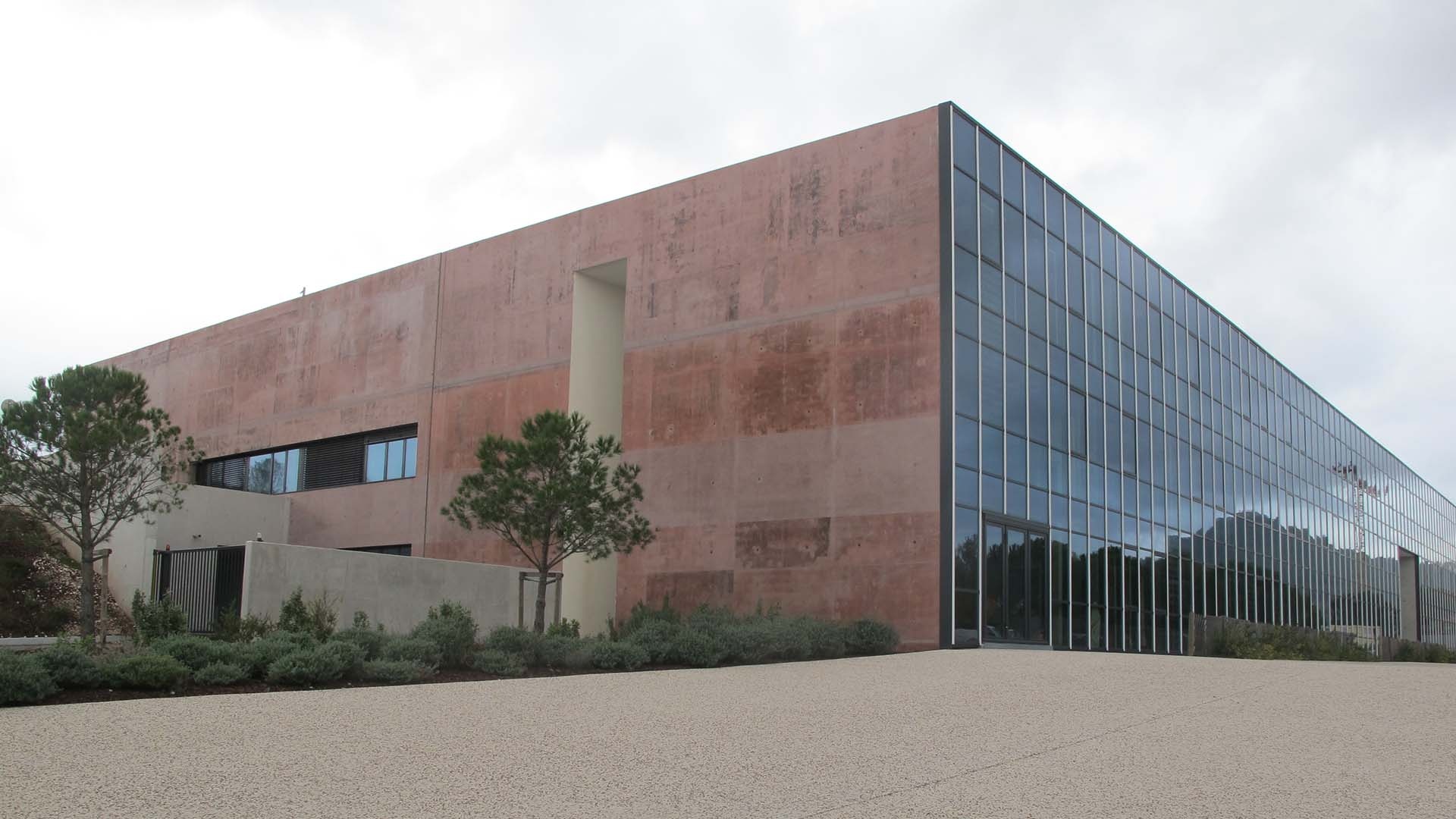 Chryso image 4