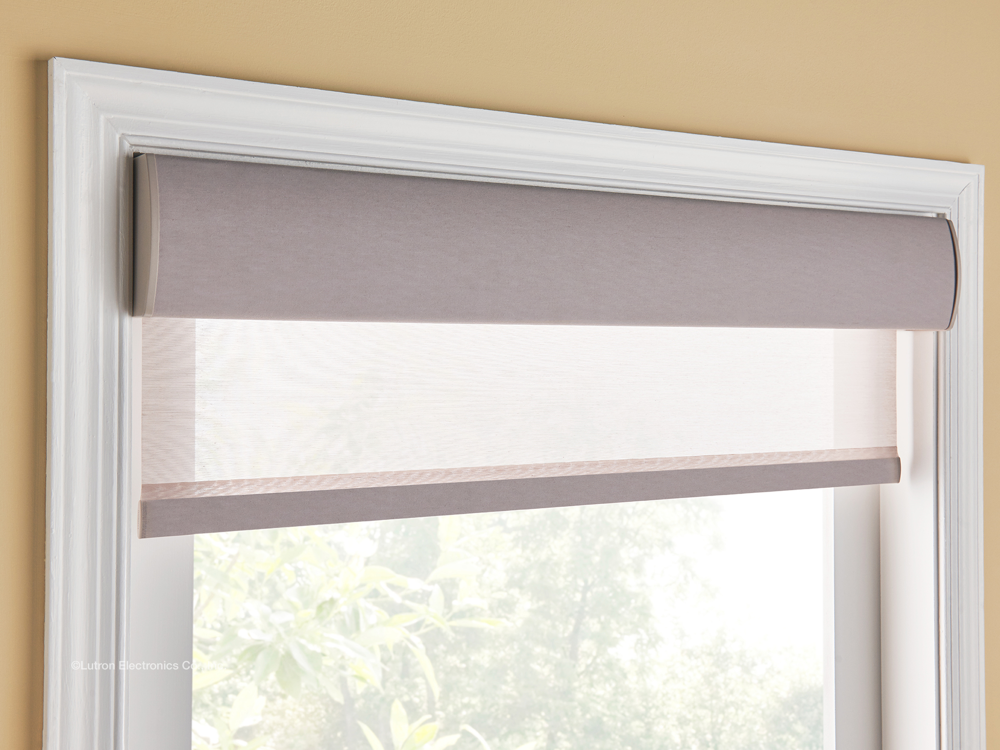 Lutron Fabrics image 1