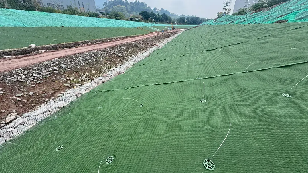 Solmax image 10