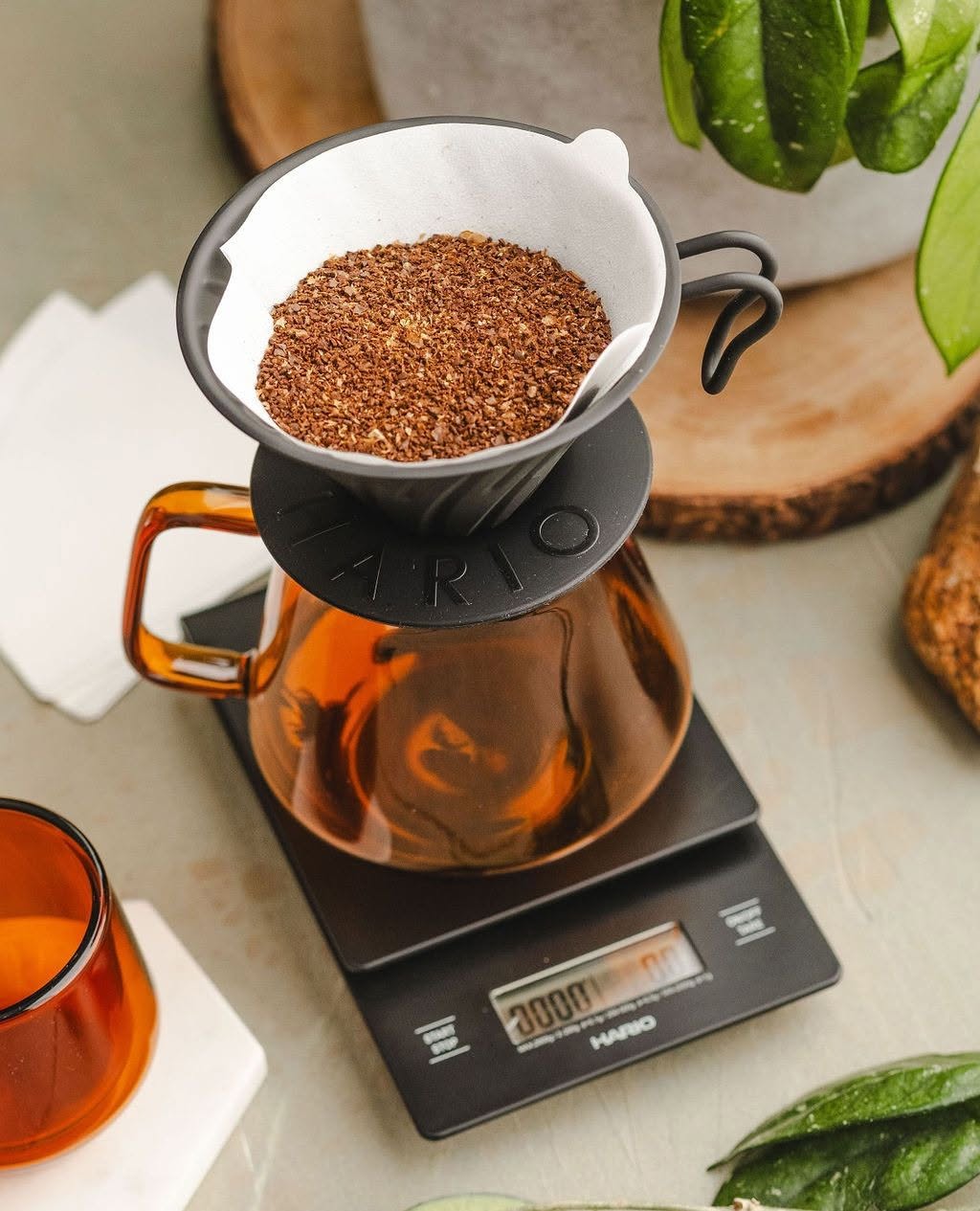 Barista Basics image 9