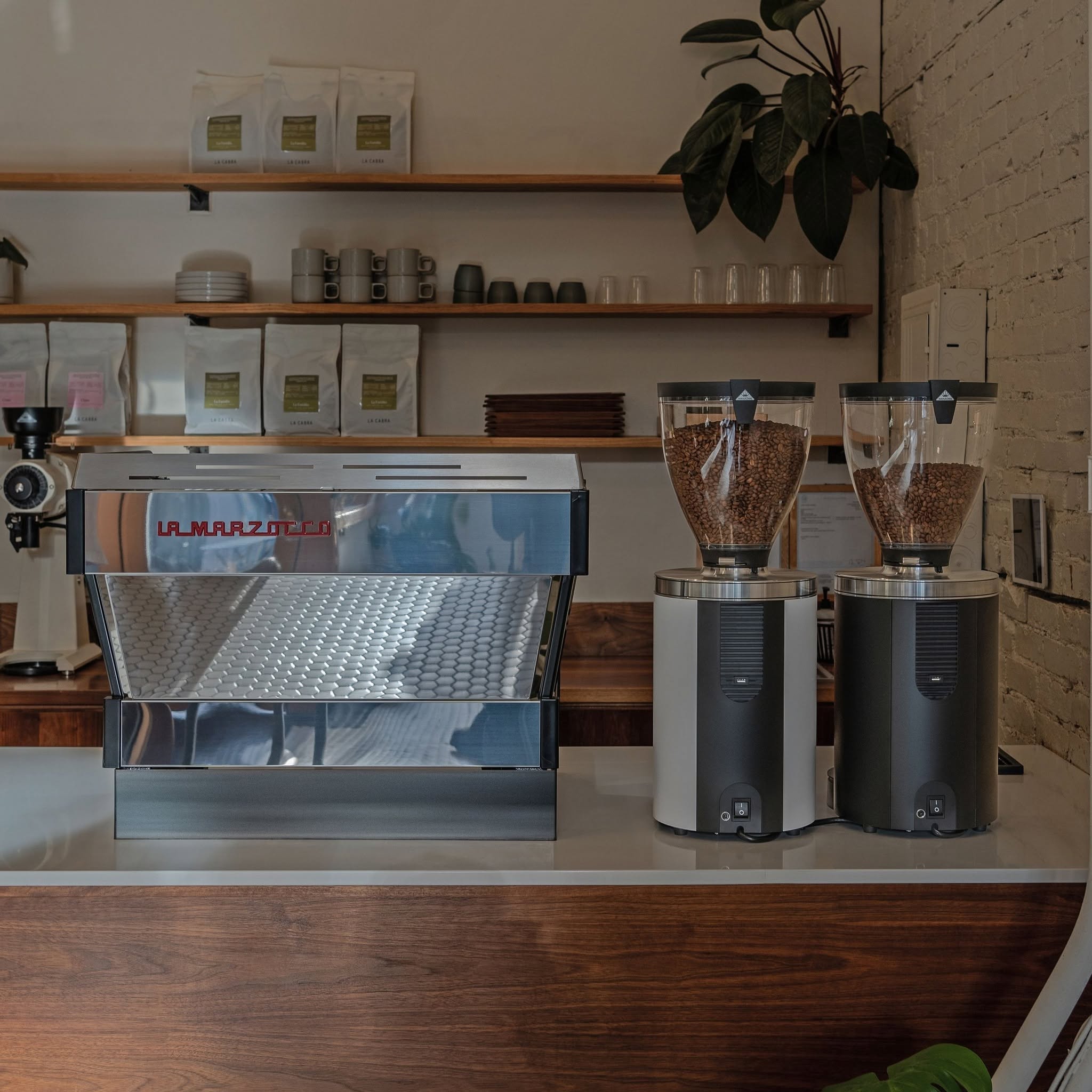 Barista Basics image 6