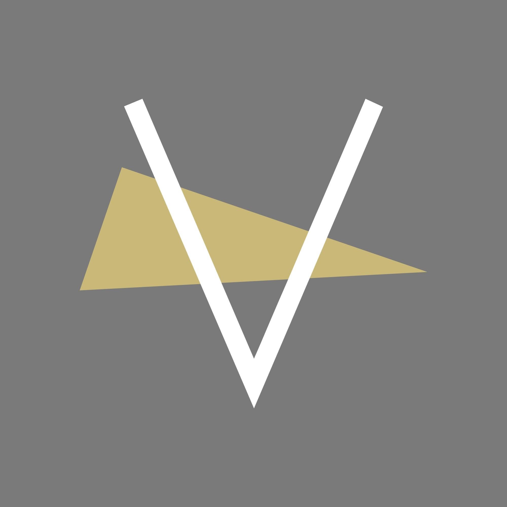 Valiant Surfaces logo