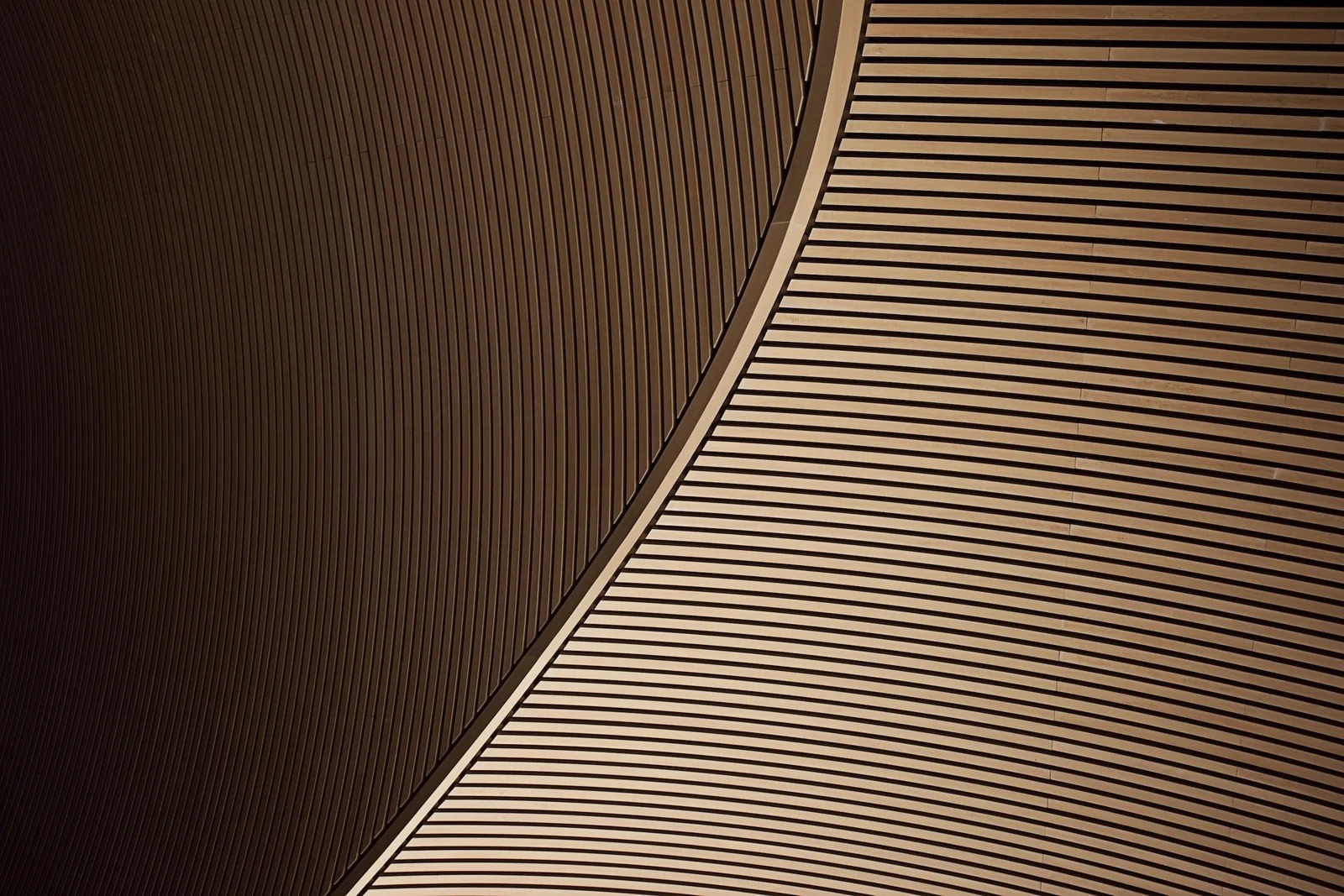 OSA image 3