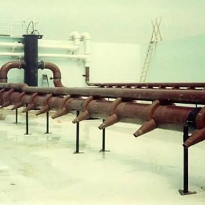 Xylem image 13