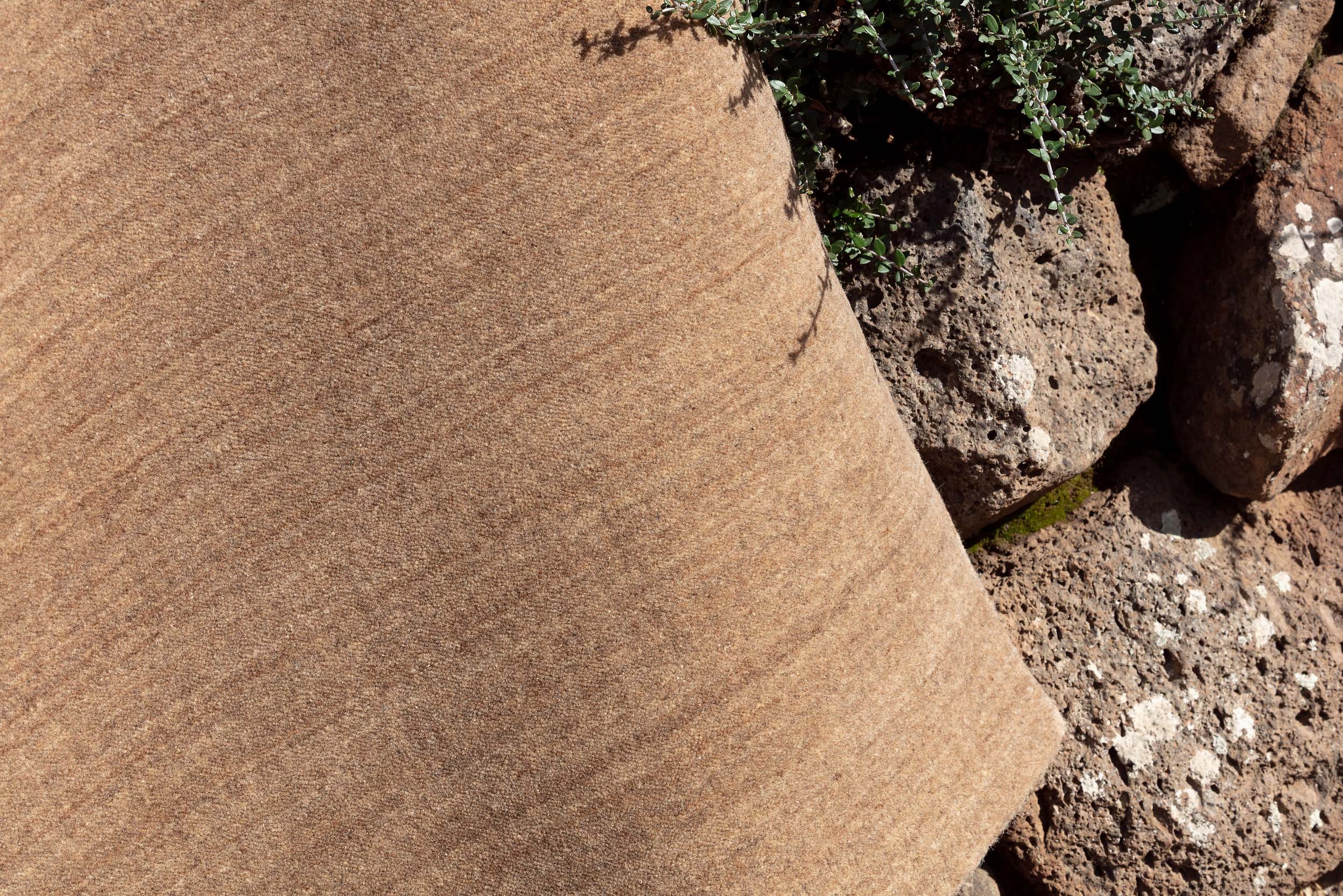 Fischbacher 1819 image 3