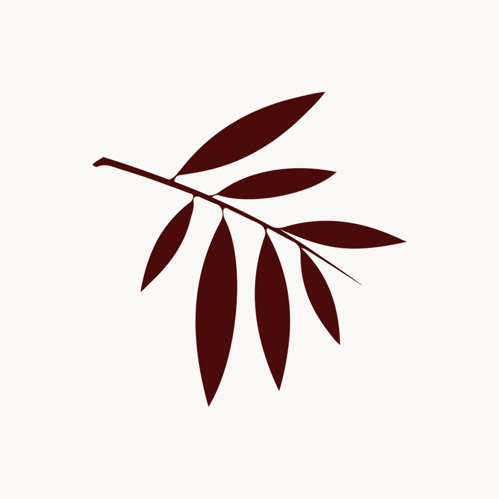 Andor Willow logo