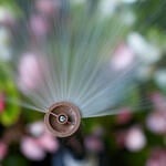 Rain Bird image 6
