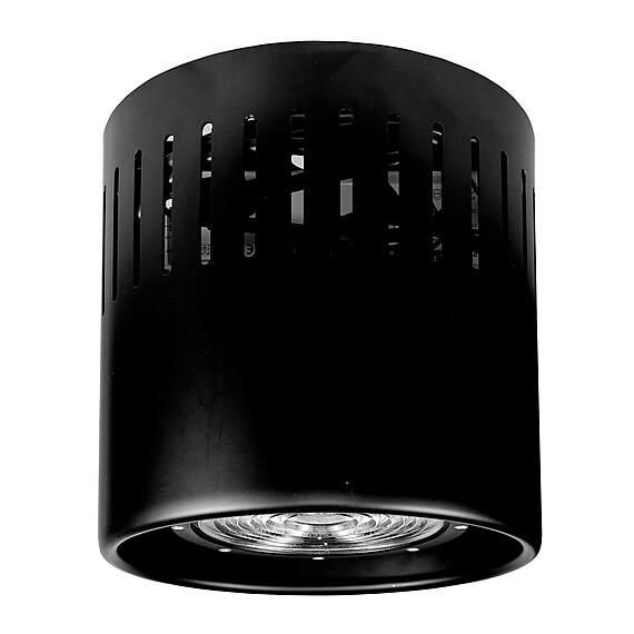 The Light Source image 4