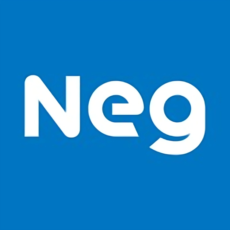 Nippon Electric Glass logo