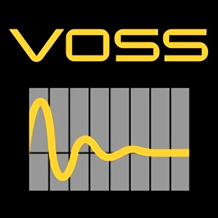 Voss Engineering  logo