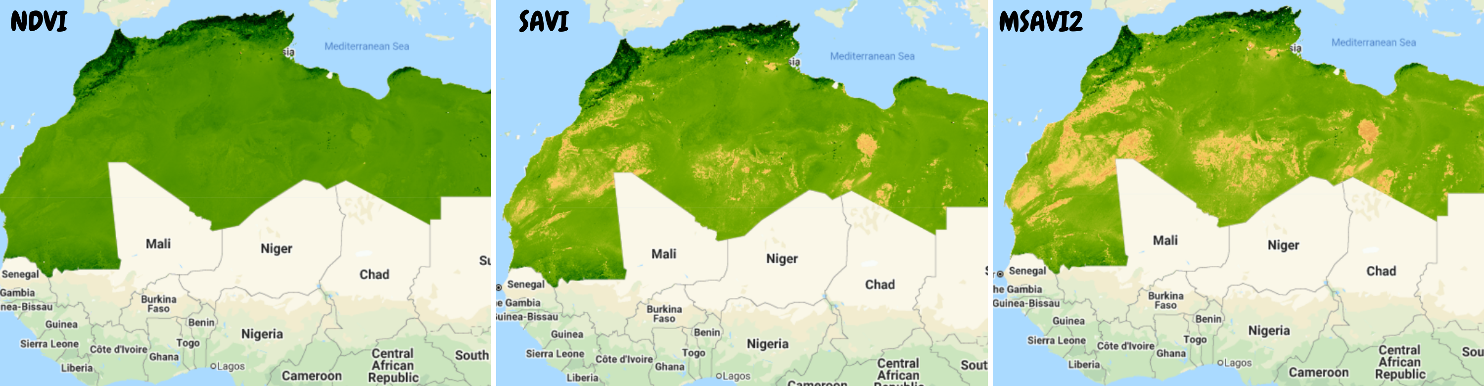 vegetation indices