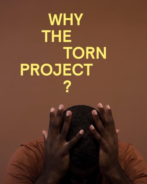 Why The Torn Project?
