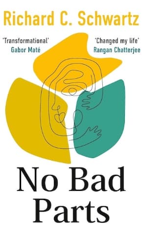 Design from the book, No Bad Parts, three coloured blogs with a line drawing of arms curling around a face.