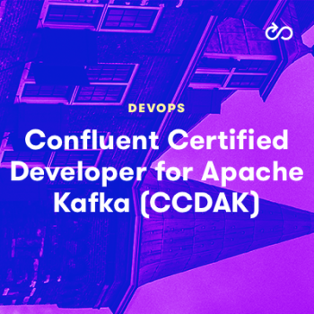 CCDAK Simulationsfragen