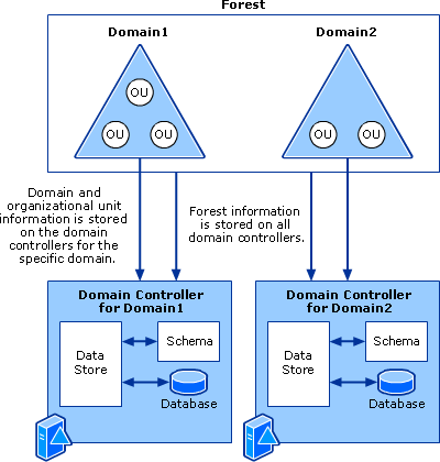 AD-architecture.gif