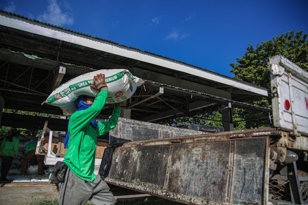 Fertilizers