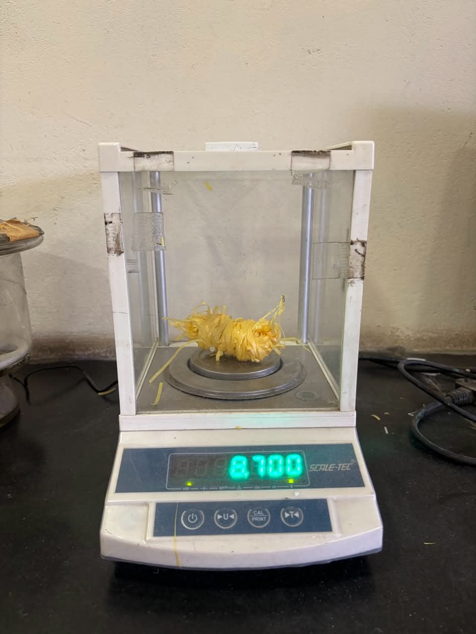 Precision Analytical Balance