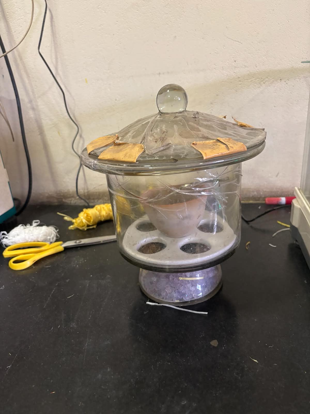 Desiccator