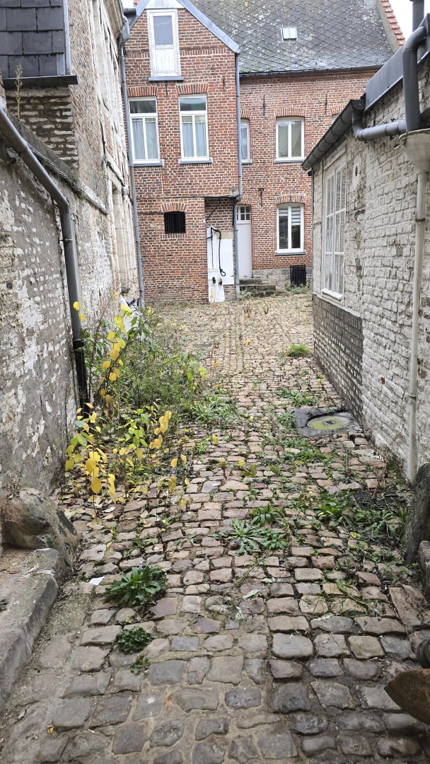 Guide Pratique : Comment Réveiller et Préparer son Jardin pour le Printemps ?