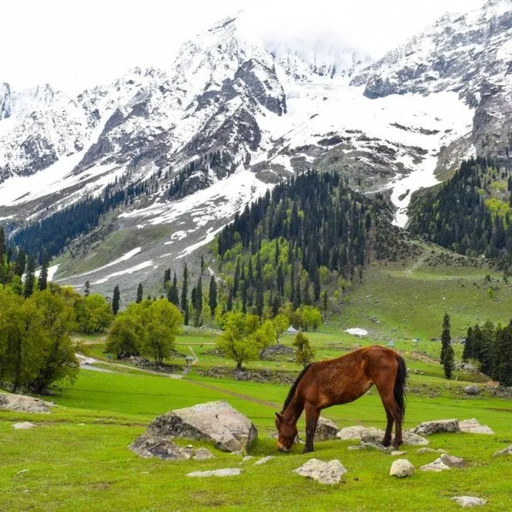 Pahalgam