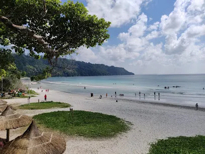 Havelock Island (Radhanagar Beach)
