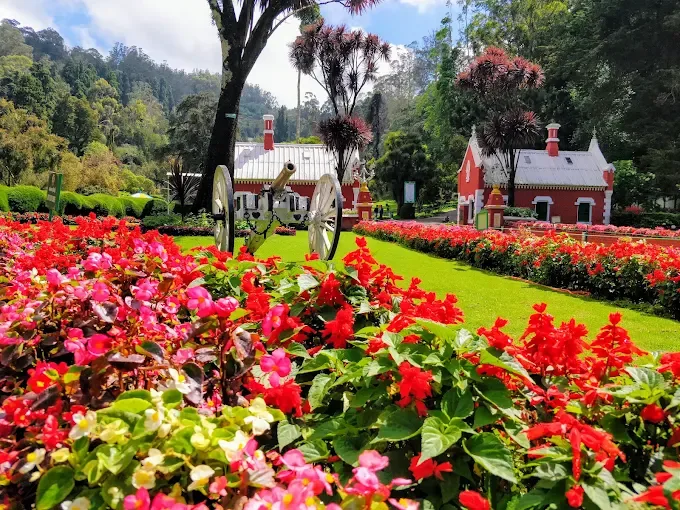 Ooty (Botanical Garden)
