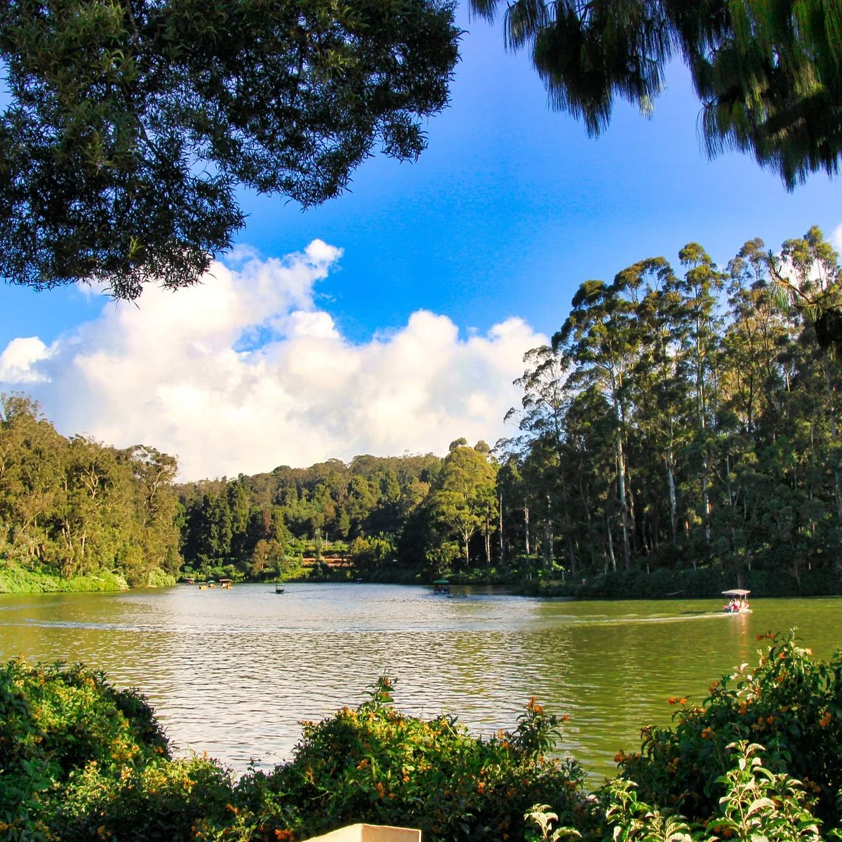 Ooty Lake