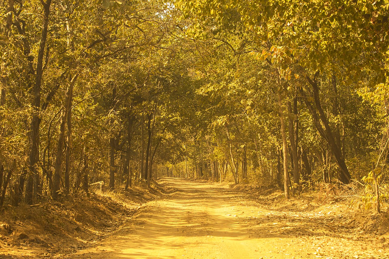4-Day Adventure & Nature Tour in Sundargarh, Odisha
